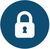 Data Privacy Icon