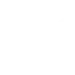 lightbulb icon