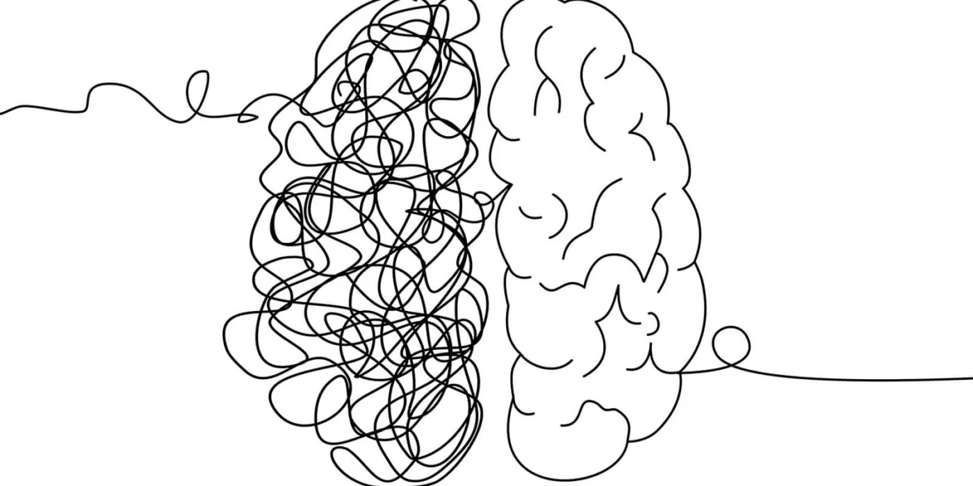 Line drawing of two side of the brain