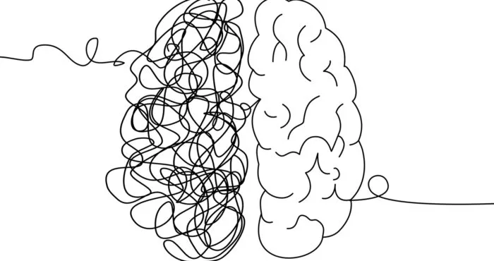 Line drawing of two side of the brain