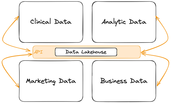 A diagram showing how a Data Lakehouse API can navigate the privacy and marketing concerns of healthcare data.